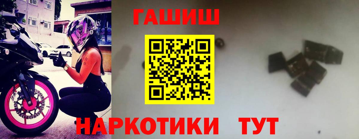 ГАШ Premium Владивосток