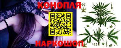 СК Новокубанск