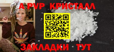 СК Новокубанск