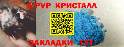 СК Новокубанск