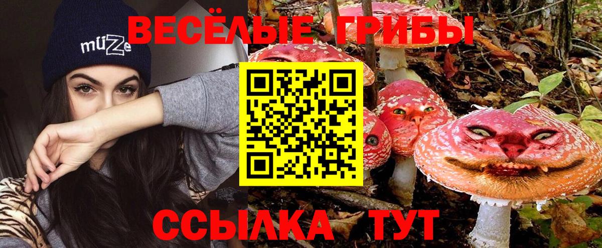 Галлюциногенные грибы Psilocybe Владивосток