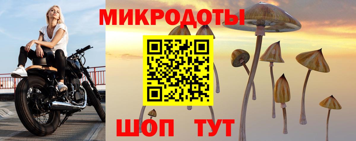 Псилоцибиновые грибы Psilocybine cubensis  Вход с VPN  Владивосток 